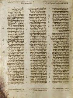 1 Raja-raja 20:23-41