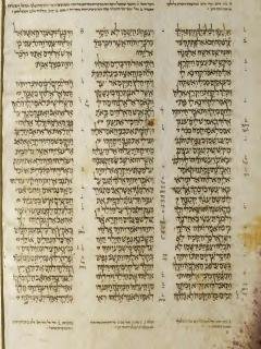 1 Raja-raja 17:9-18:7