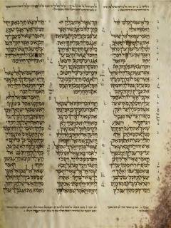 1 Samuel 14:52-15:20