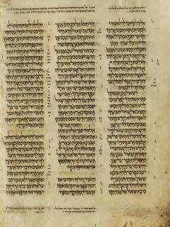 1 Samuel 25:40-26:16