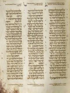 1 Tawarikh 18:9-19:15