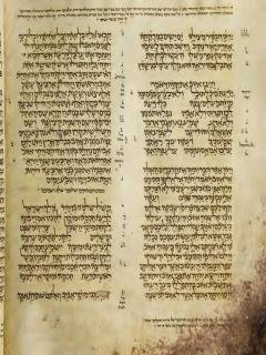 Ayub 41:22 - Amsal 1:8