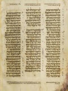 Habakuk 3:1 - Zefanya 1:8