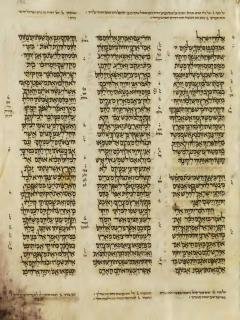 Yehezkiel 19:9-20:19