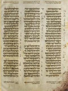 Yehezkiel 16:50-17:13