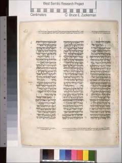 1 Samuel 23:19-24:11