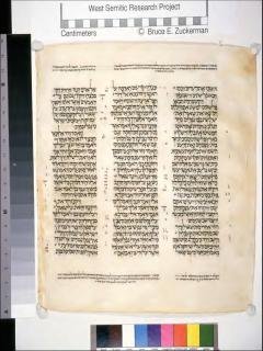 1 Samuel 31:8 - 2 Samuel 1:20