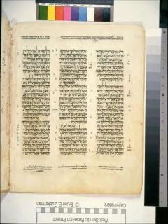 Yehezkiel 17:10-18:8