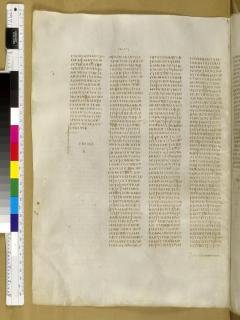 Yoel 4:18 - Obaja 1:18